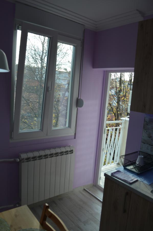 Apartman Gloria 2 Belgrad Zewnętrze zdjęcie